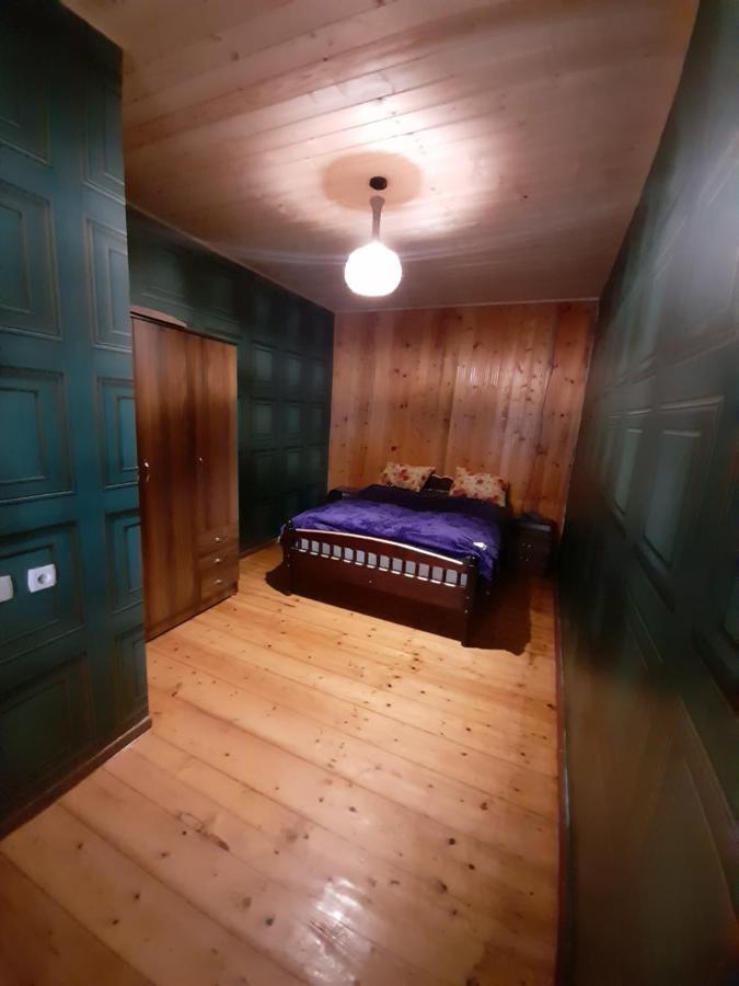 Gvidani Holiday home