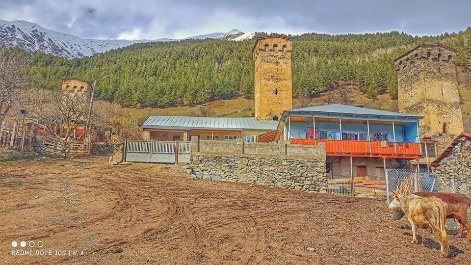 Gvidani Holiday home Mestia