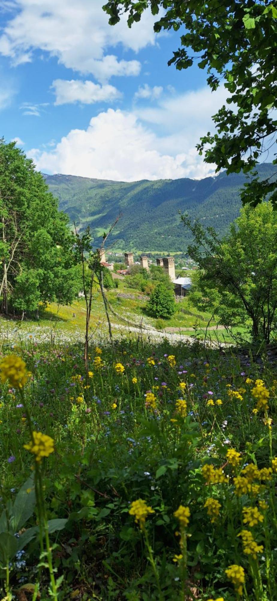 Gvidani Holiday home *